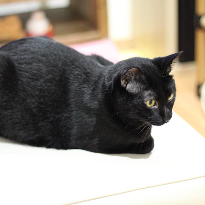 738afed5 8577 4fe4 af78 410909c080ed