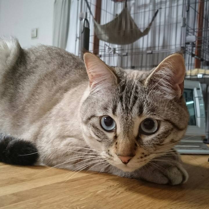 738b16cc 4059 48e2 98ed ebccfa90af40