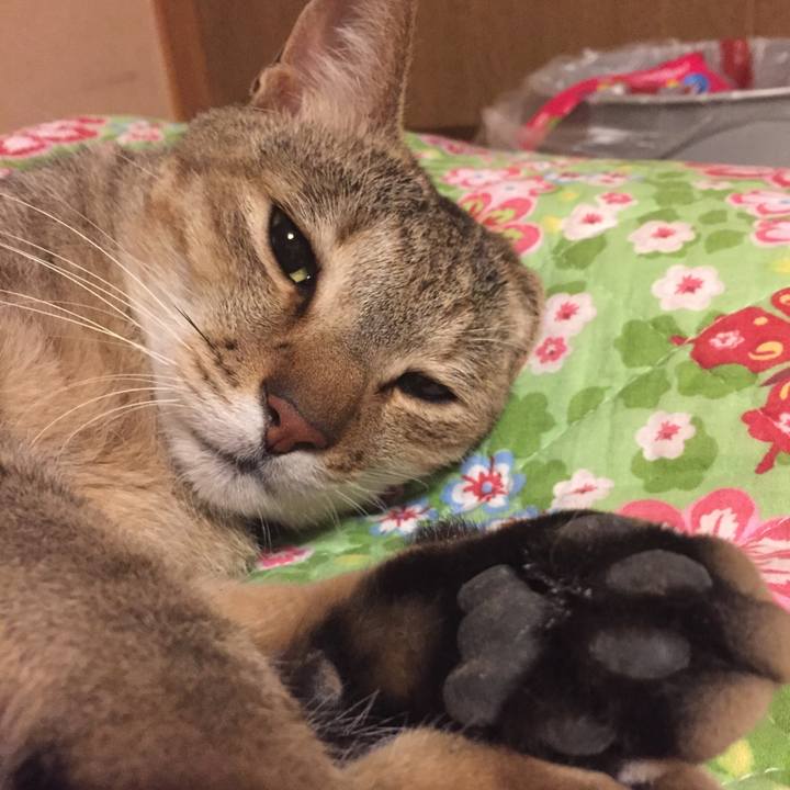 738b54db 9654 413b a135 4c95496e6df6