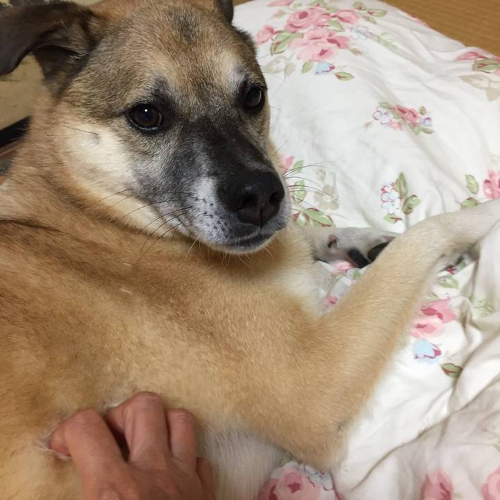 738b9608 1a36 4798 a1b1 c7ddc3d188f7