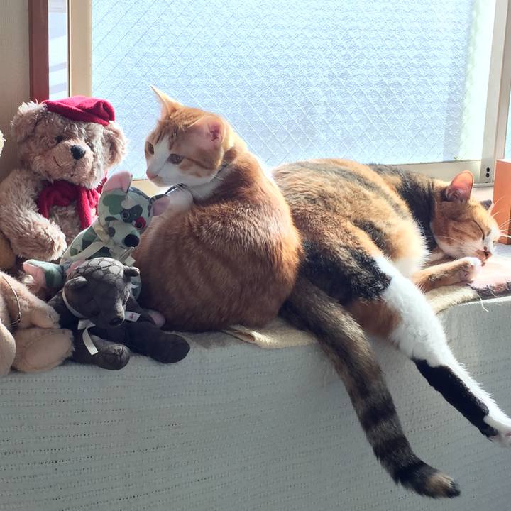 738b9f6c 7a1e 42bd aafc 77b38687a9c1