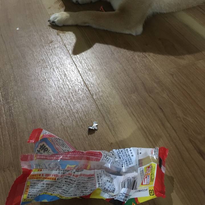 738c02fd 7a2c 4ae0 ada6 9e1ac9ac4e28