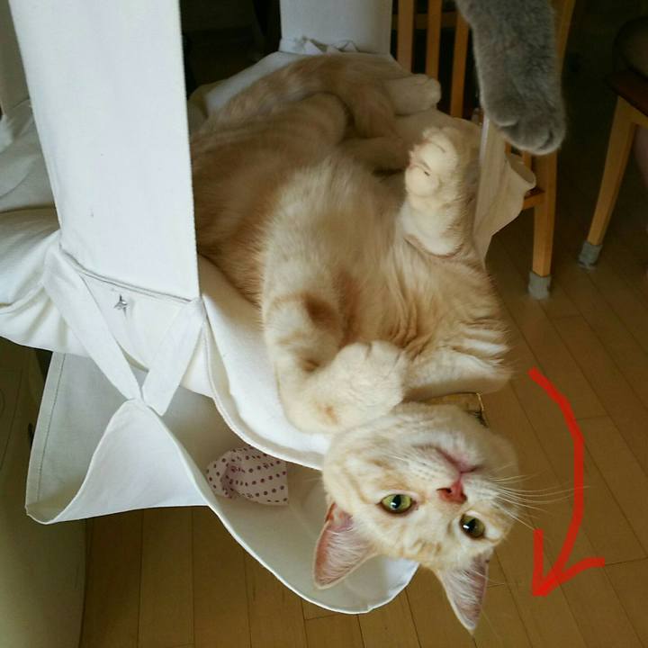 738c7570 7dea 4ccd 8bc3 ef0360cd6d2c