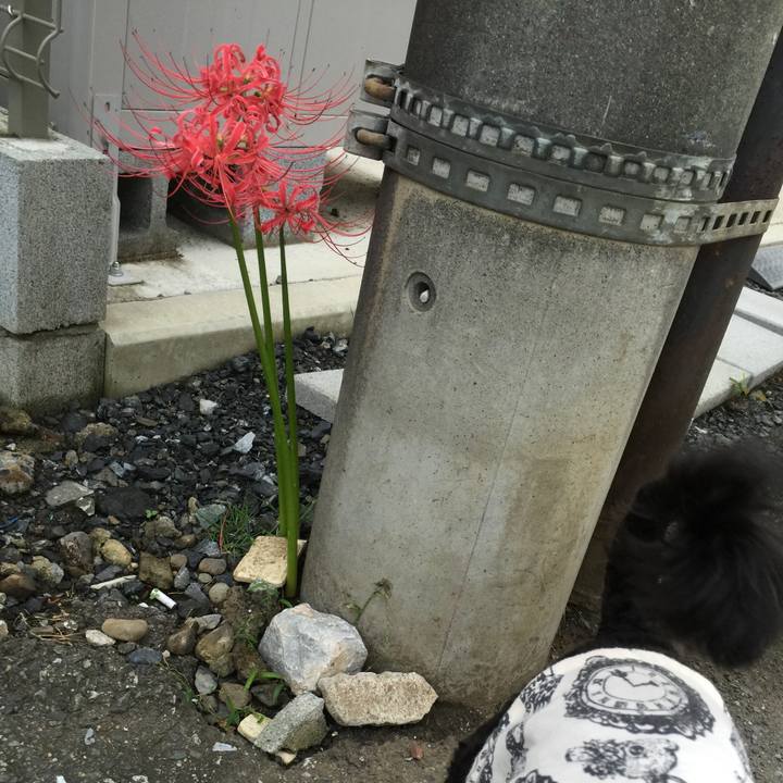 738d1034 ca64 430c 9731 3adaab3f45b0