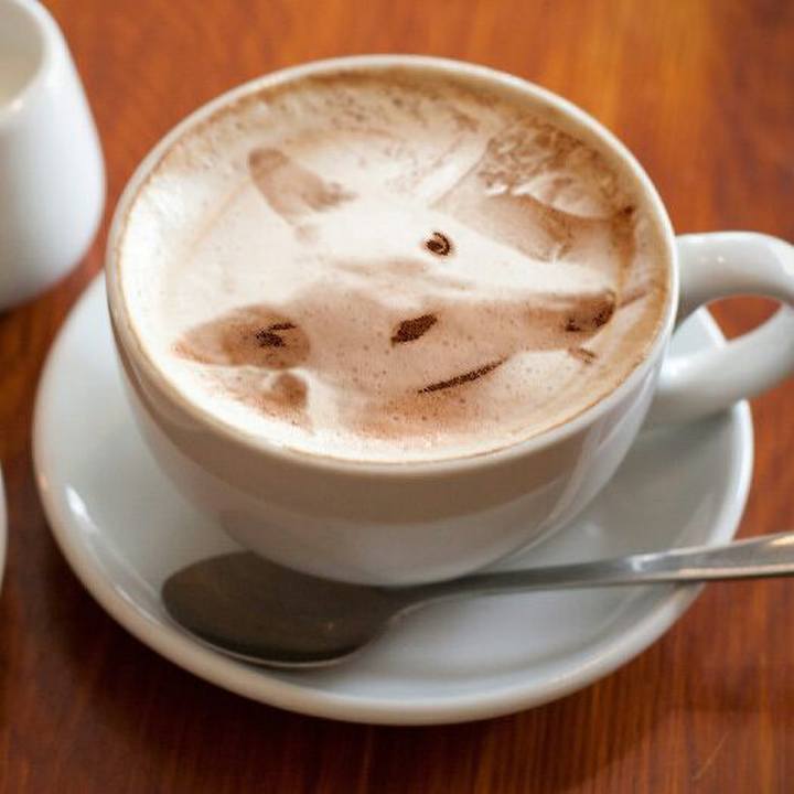 738d2ef7 556f 4a6f 8d5d df15b8ac63c9