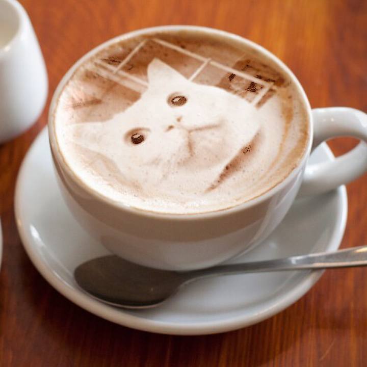 738d89a8 01d1 4661 87a1 21797c8028f1