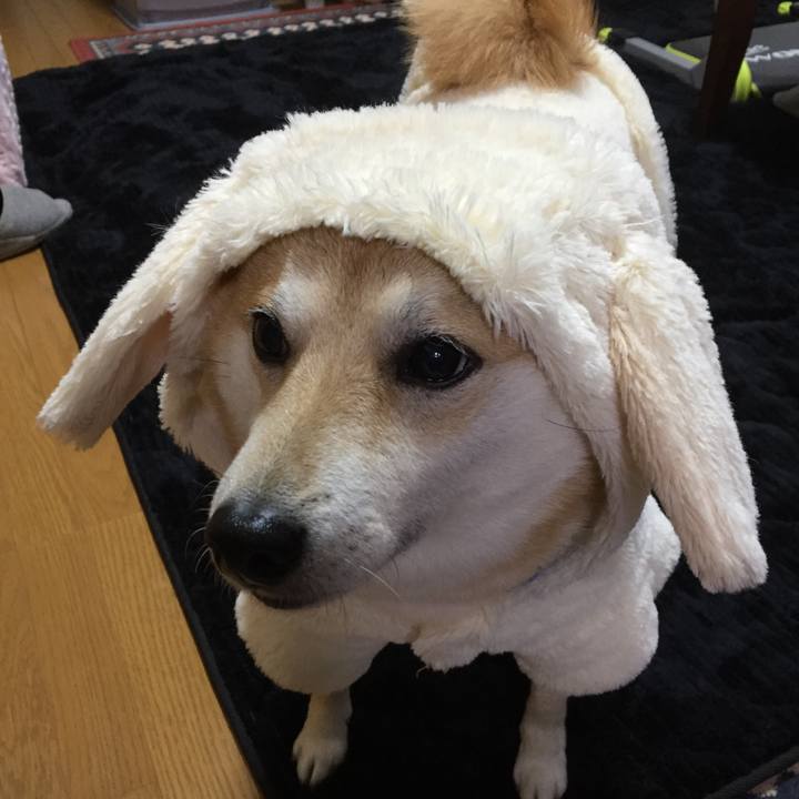 738db1d2 553a 4a84 b5b3 fdbff5a2e516