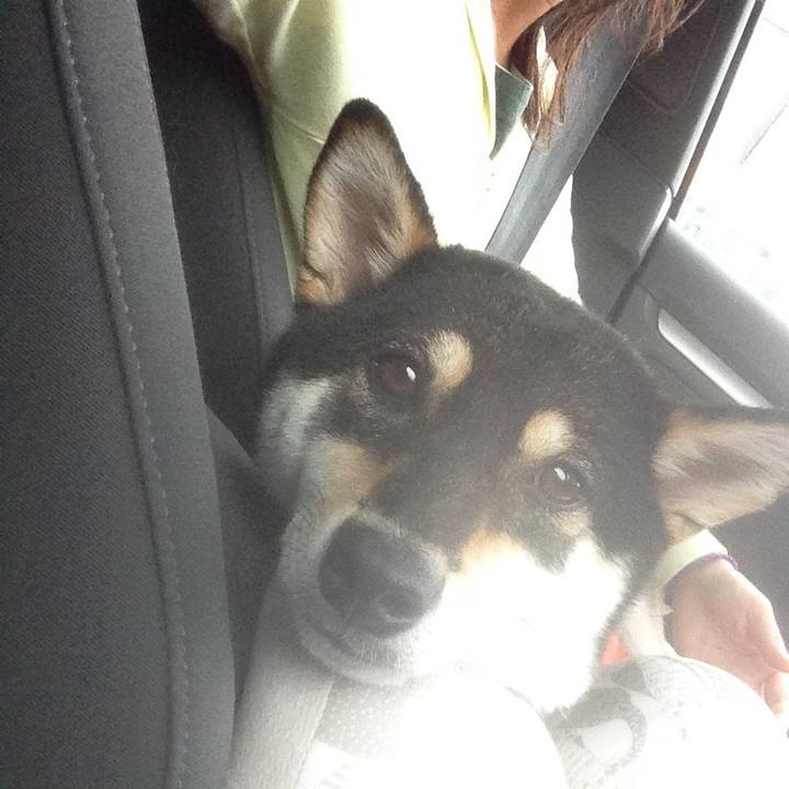 738e2844 9b17 418c 9503 eb4cb5b269e7