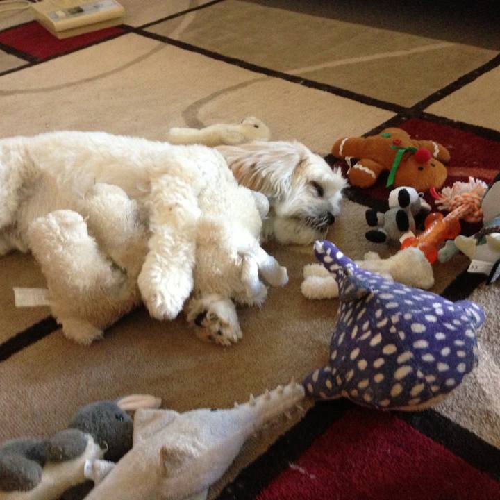 738e5f82 7865 4393 9538 93e9cd54927f