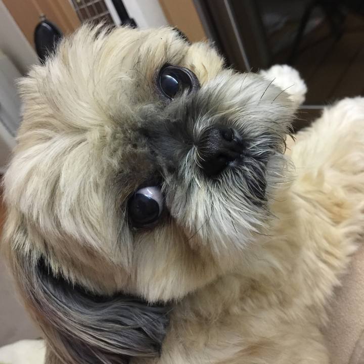 738e87f3 ff52 40ea 9bb3 73309a9d02f5