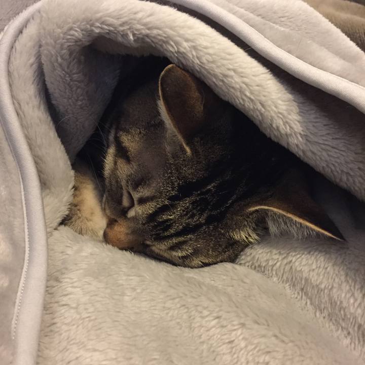 738edad7 1144 4245 8d36 d79fba1617d2