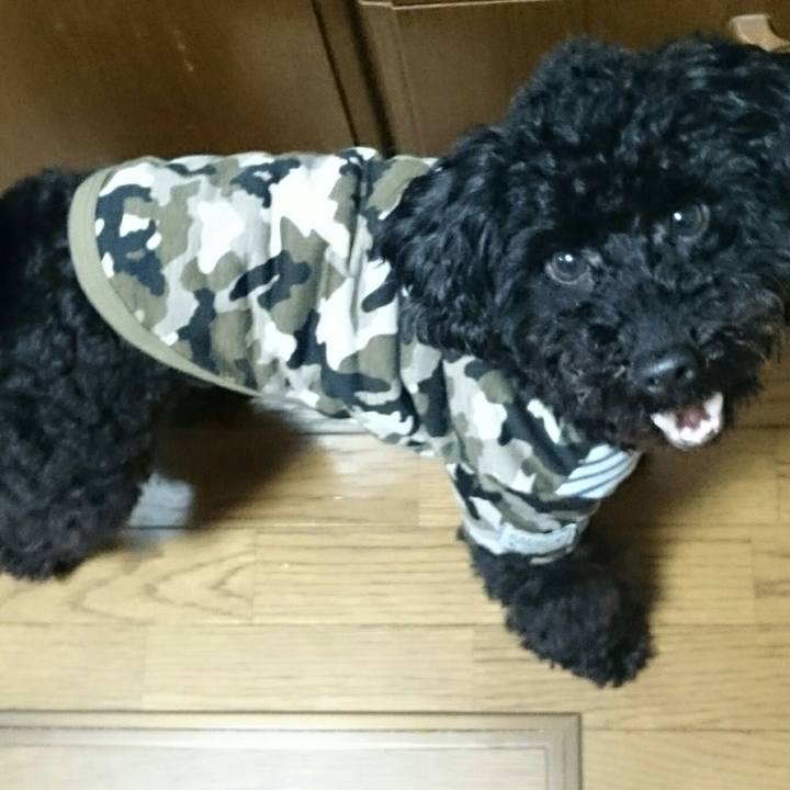 7390182a 6266 48a8 8597 241c93bfc5ae