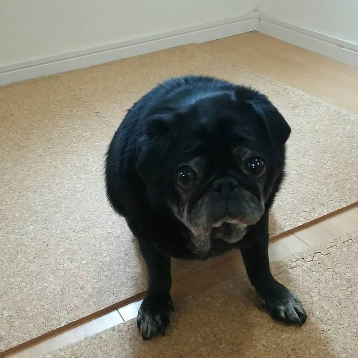 7390ffe0 4a84 4a84 88b0 e50d0c98c68c