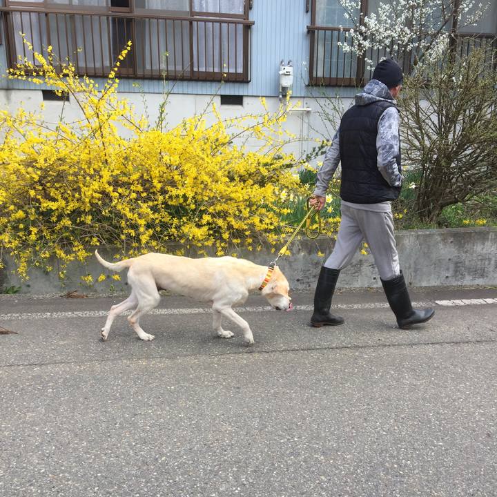 73919aac f82f 4a33 bf5d 12ecac90422e