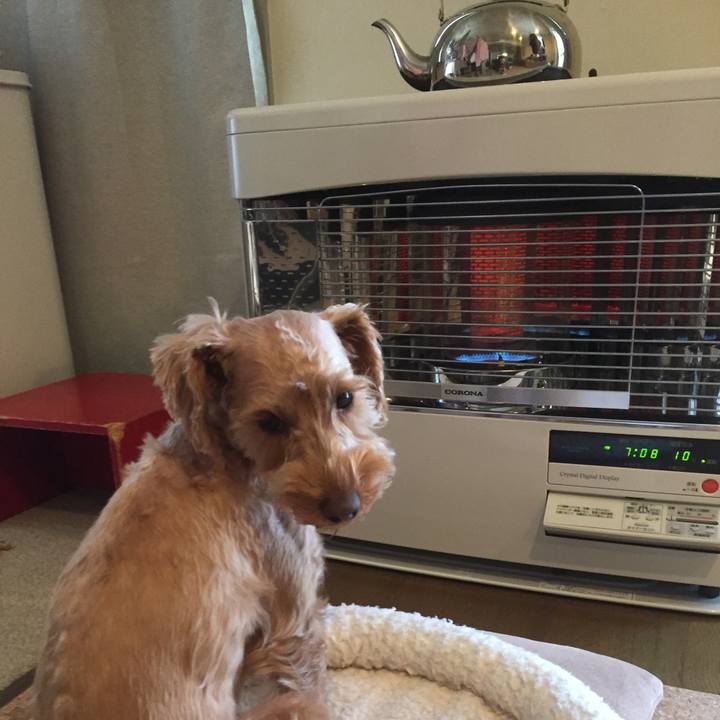 7391b7c2 e868 4a33 a00e a07af4ca7045