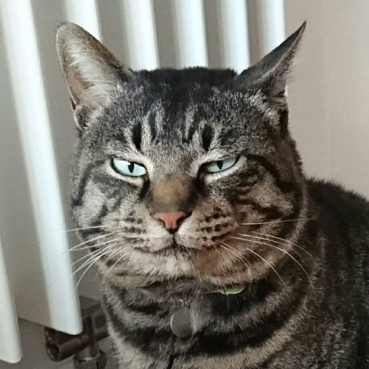 7391bf2f 04b5 4b15 b0fa 299ca0646864