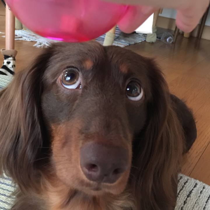 7391f188 52ee 43fb a10a 9e4c1b3f74c0