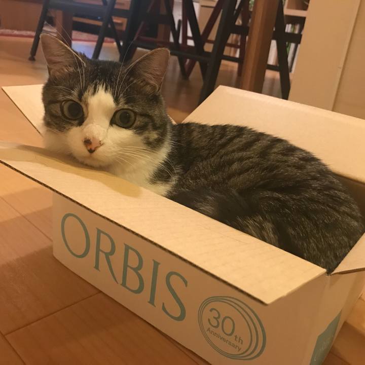 739206ee 0966 4e13 9dec 8b83816afbd0