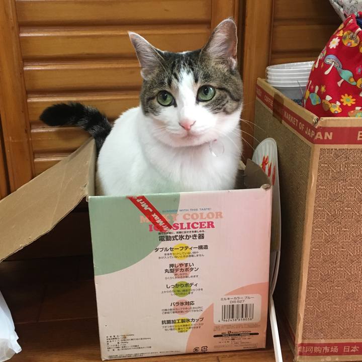 7392ad88 0b9c 484b a252 411d147958d9