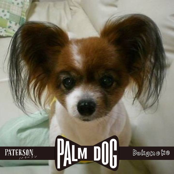 7393098b b56f 4cdb 931a 6547960a129e