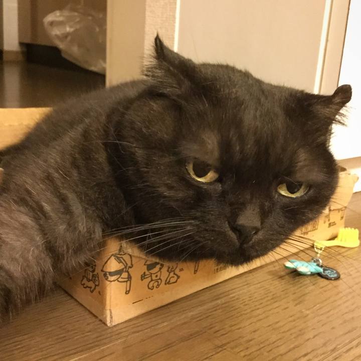 73930b99 9168 4777 9ee8 7e33b0d3610c