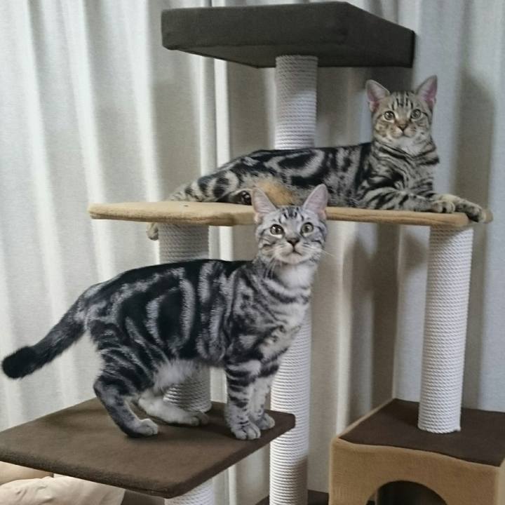 73939508 c3cd 4925 9cef 299b23ea756c