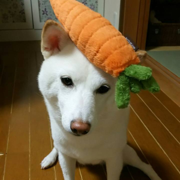 739439be ebd5 4b14 a163 9101ab3e4b98