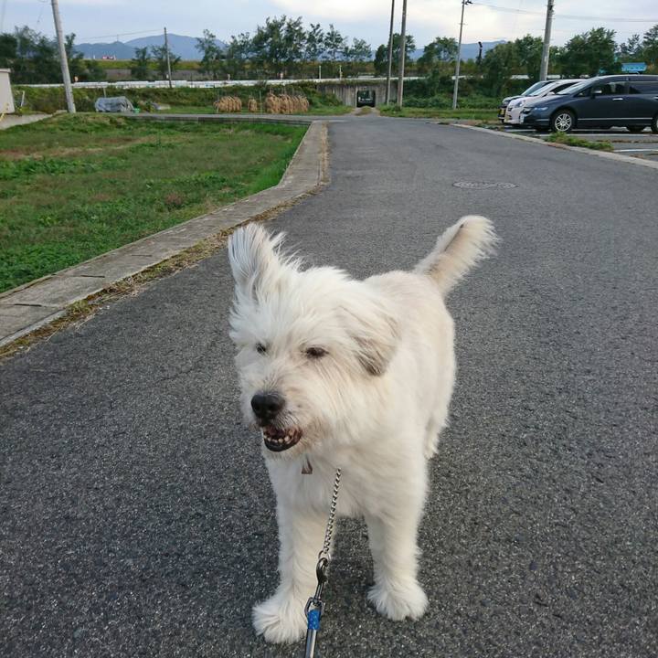 73947680 806c 403d ba0e 530ba2407ab3