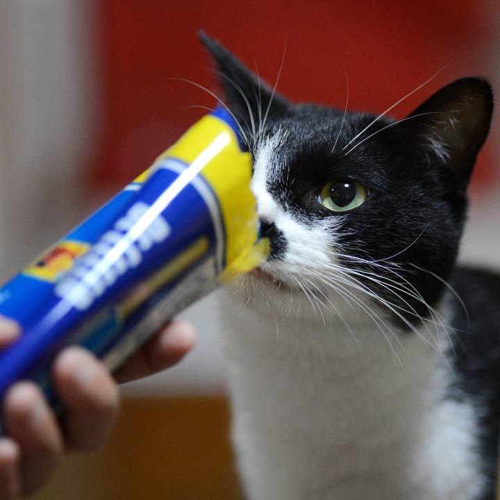 7394c78b a5c7 492c b124 c6d0c2d8a5c9