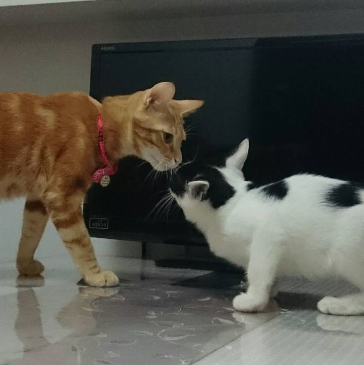 73955601 0ffc 4330 9a25 d7c0e4fb1755