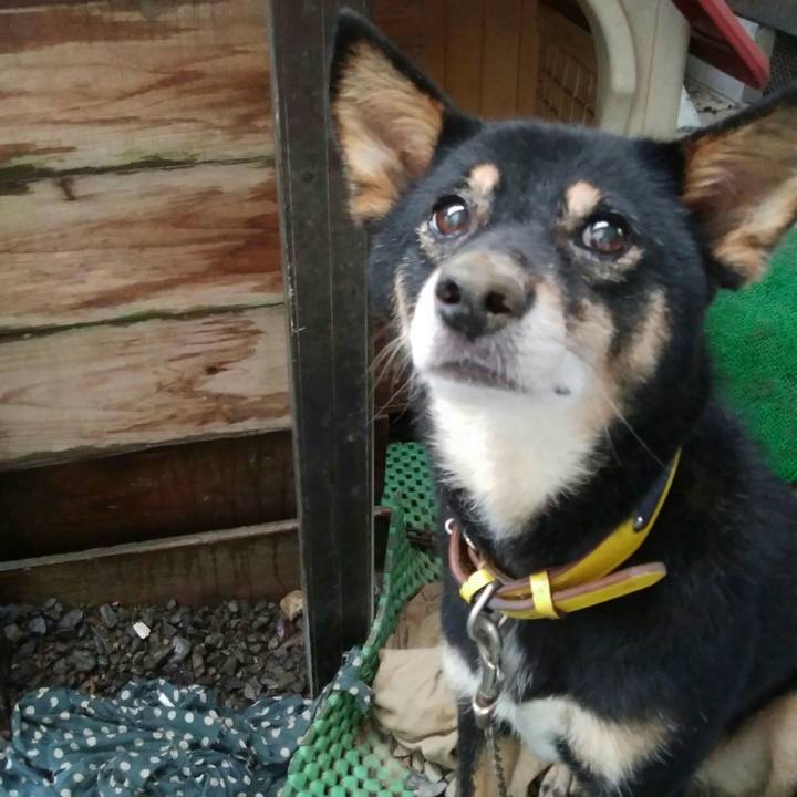 73959026 3c6d 465e b62d 7ba0601cc4b3