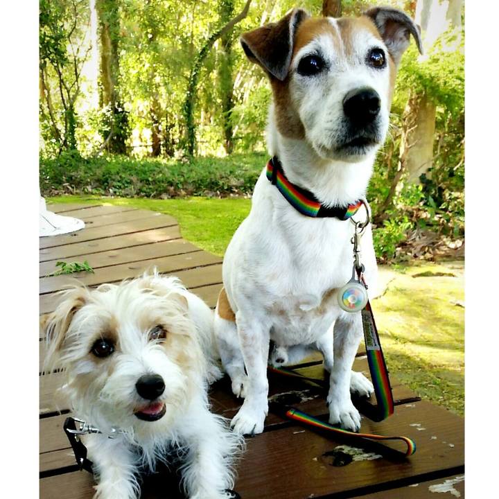 7395f0d0 6e4b 49e3 8735 a398b9873b5d