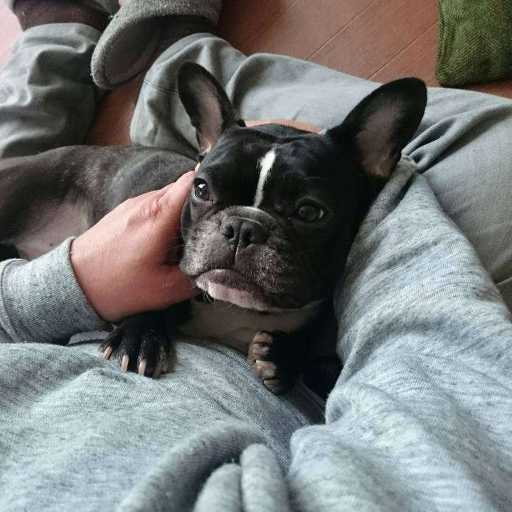 73961945 b242 45d6 91b9 63f9ab8692c5