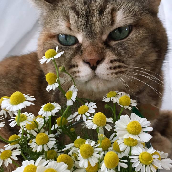 739685c0 5421 4b26 a48a c1a2c04e1a69