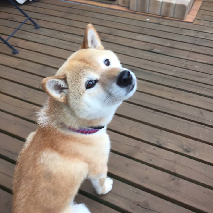 7396c934 a632 41ba 9885 5f643a3bbce1