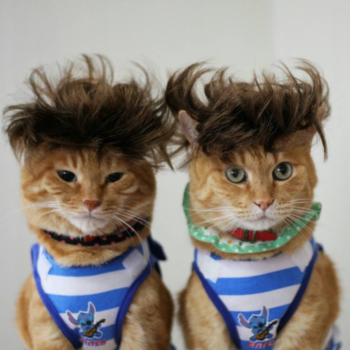 73972f57 b1cc 4beb 8552 fbb1c3ff40d3