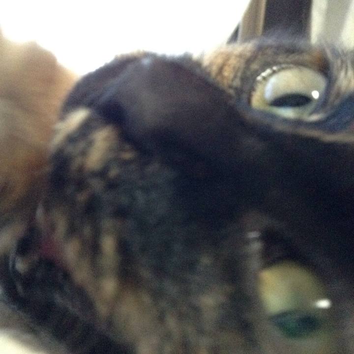 73973374 eee1 488f 8322 2354b27ad8a3