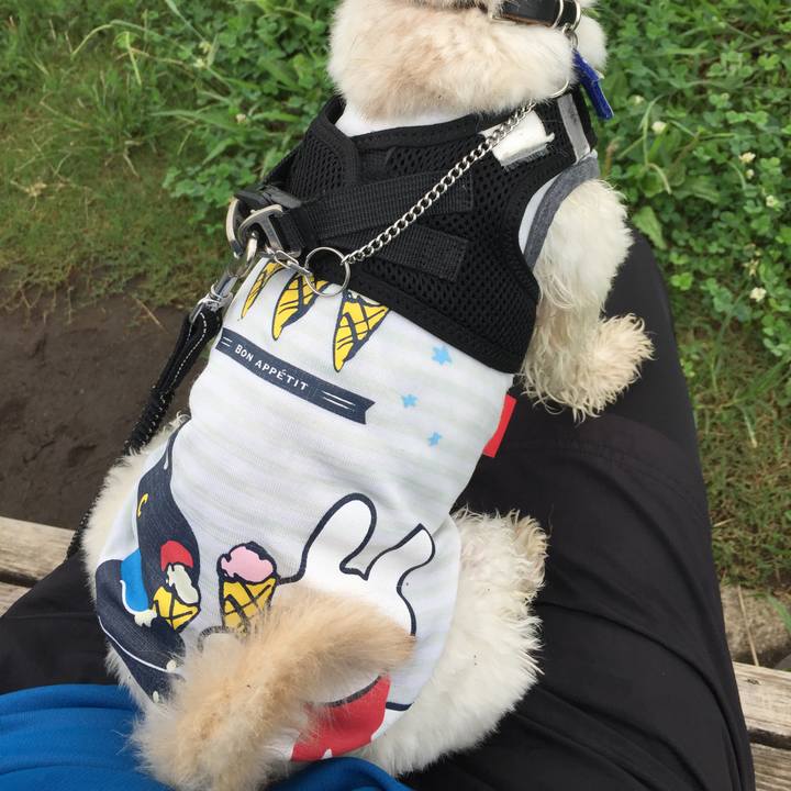 7397e857 c332 4a22 8929 2a0cd66996ae