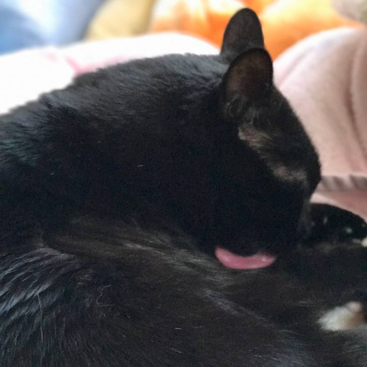 73983c9a 0096 4fe9 9a85 5dd726423a9a