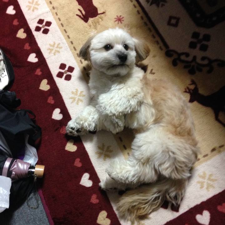 7398820f 2147 4fec b442 05215da9f74a