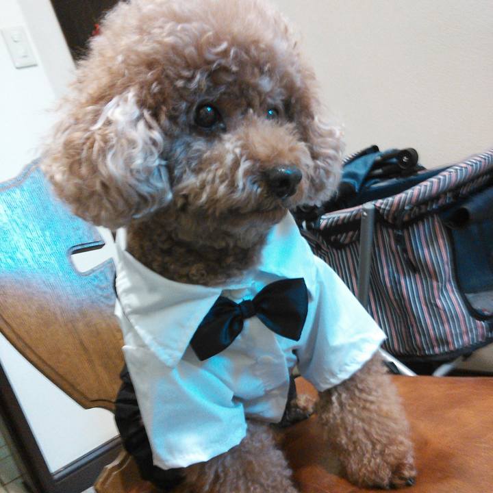 739886b6 6b8b 4e1a 99b2 5aa488e51db0