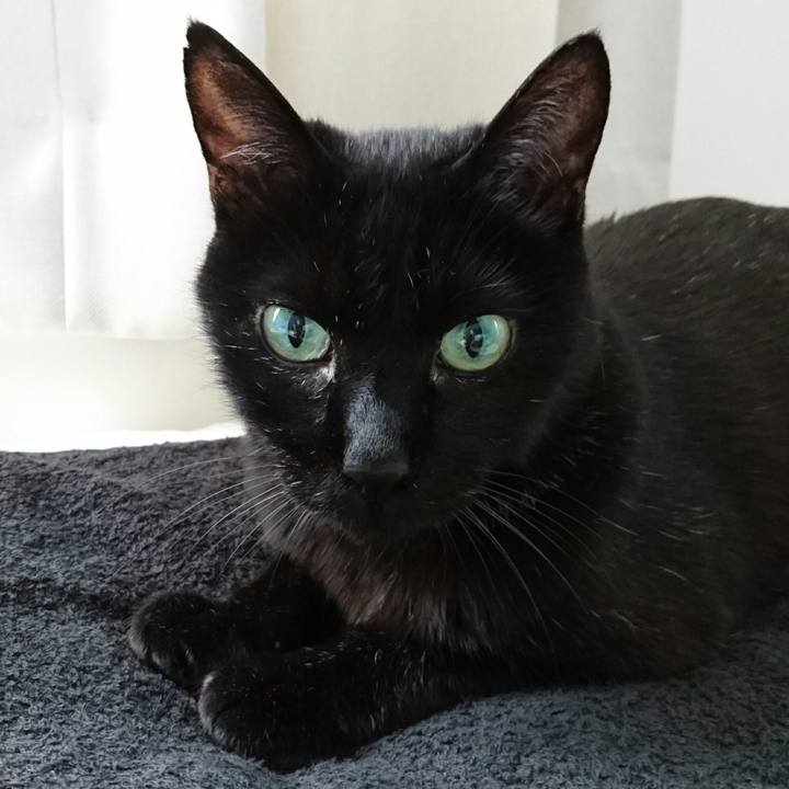 7398cbff de52 40c7 a692 9f73b416c5f9