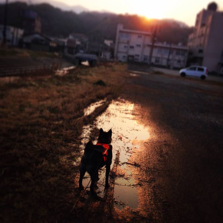 73996870 a1bb 485f 802b 013b9d70a3ad