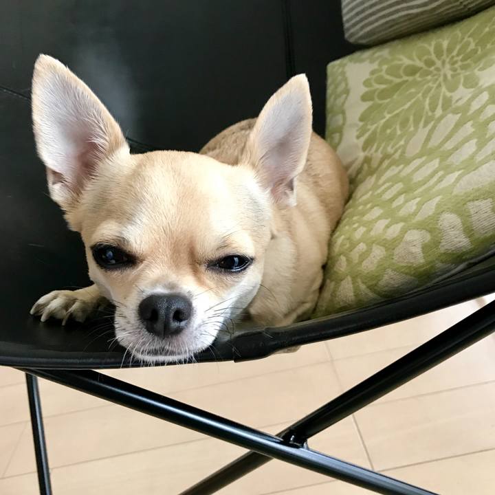 7399b0c8 c127 4428 a635 2914efbd7538