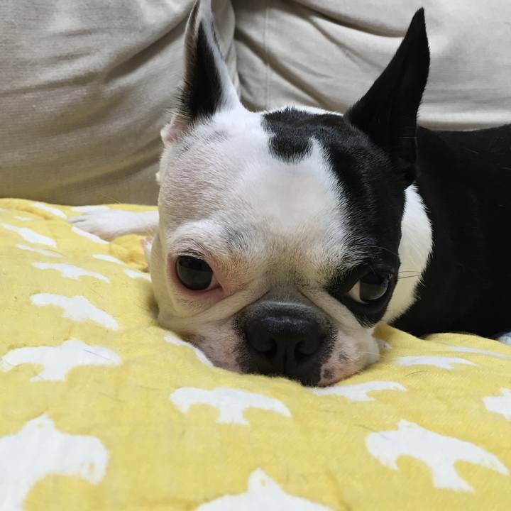 7399de16 de0b 4cf8 9ea8 fd2dd5e6283e