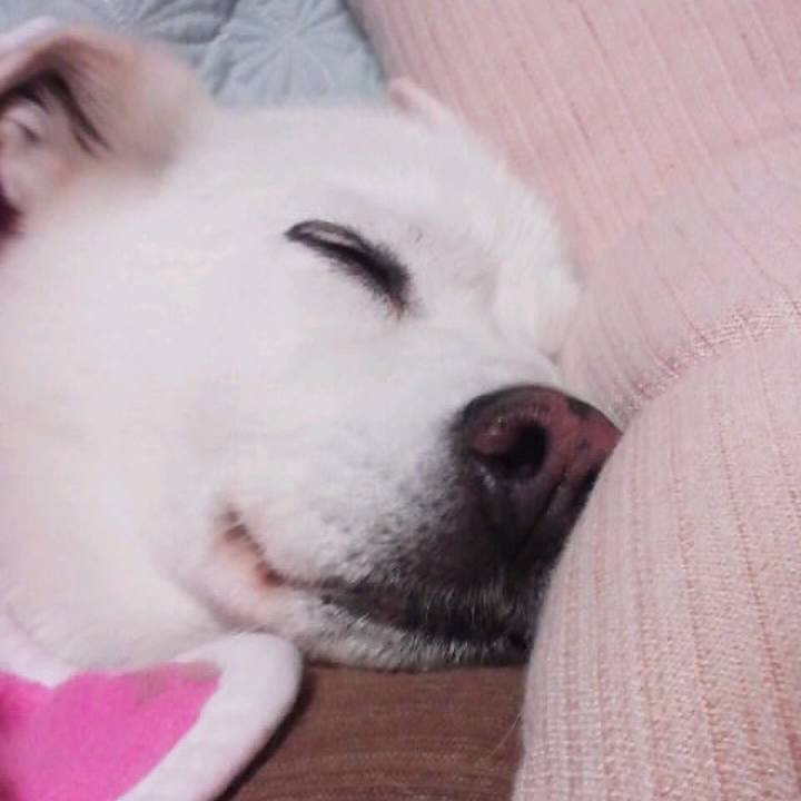 739a02e1 4fe2 446e 9179 3341d253c0b9