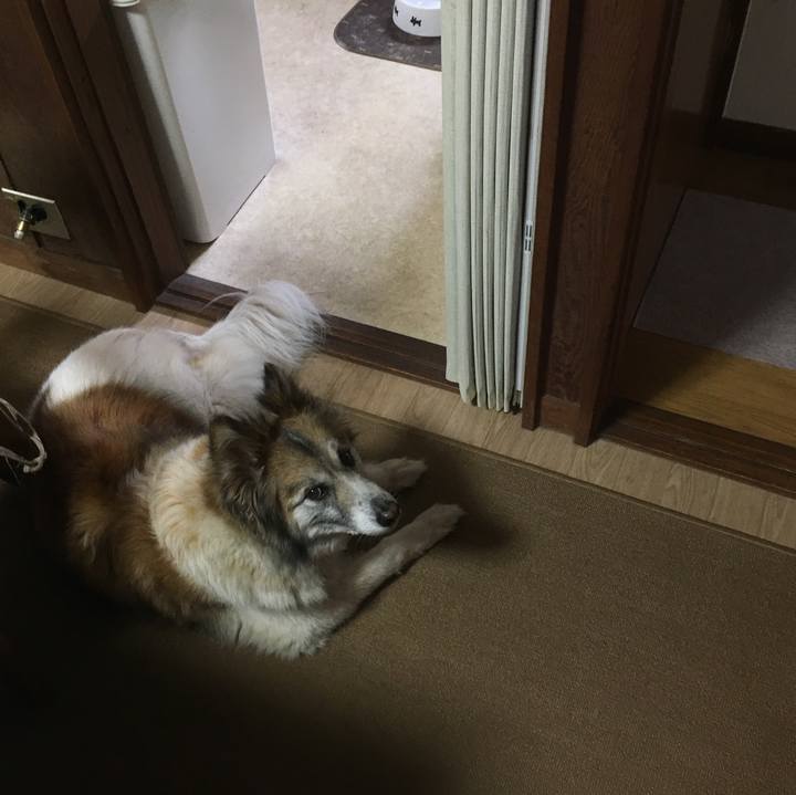 739a0b59 4cb9 42eb 8ea6 b9a4a15b9a21