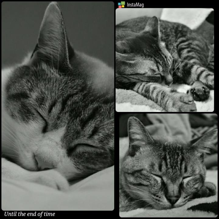 739adf0e eb2f 4001 962e 57d1b3f89544