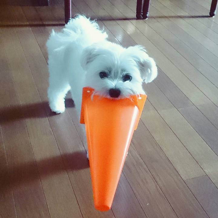 739af34e b191 406f 8442 b28b62b8b84f