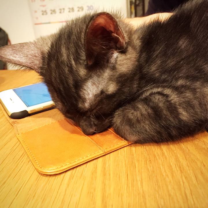 739b09e1 7667 4022 bb47 4581248864b1